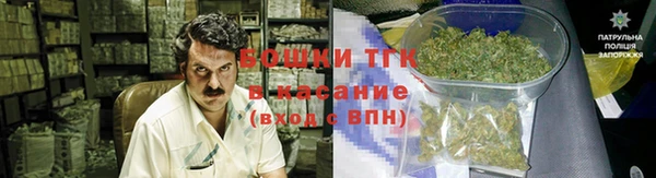 дживик Бронницы