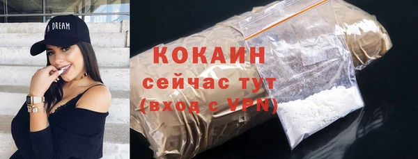 шишки Бородино