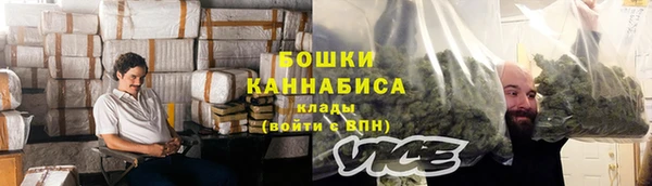 шишки Бородино