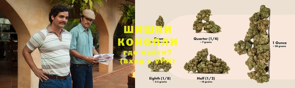 шишки Бородино