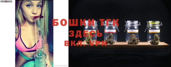 дживик Бронницы