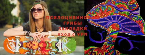шишки Бородино
