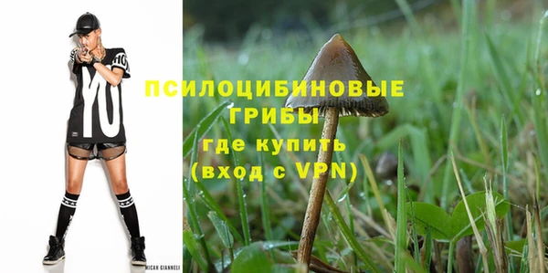 мдпв Бугульма